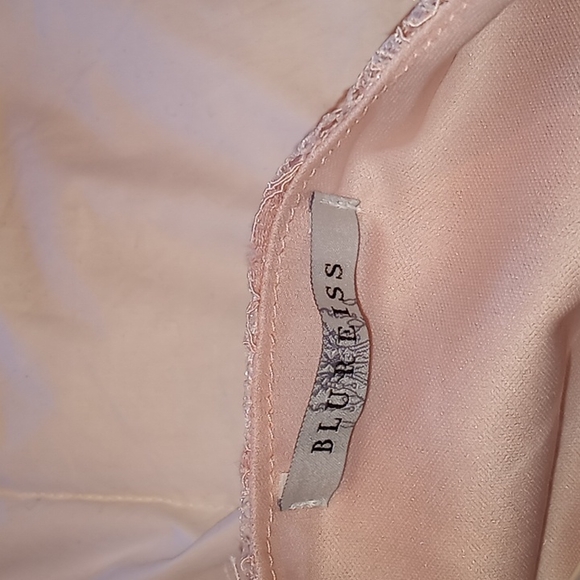 Blush Pink Lace Dress - Picture 12 of 12